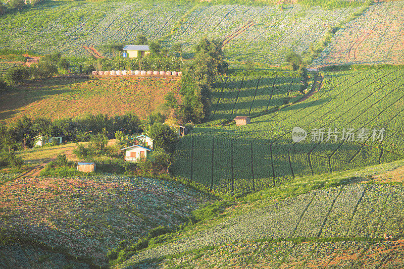 俯视图航拍从无人机飞过的山脉和蜿蜒陡峭的山路，在Phu Thap Boek，碧差汶省，泰国，亚洲。Phetchaboon泰国泰国